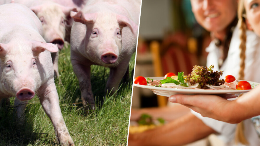 Šta nam donosi Strategija za hranu?