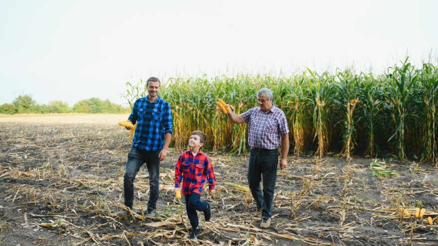 Tri EU zemlje imaju 99 odsto udela porodičnih poljoprivrednih gazdinstava u ukupnom broju