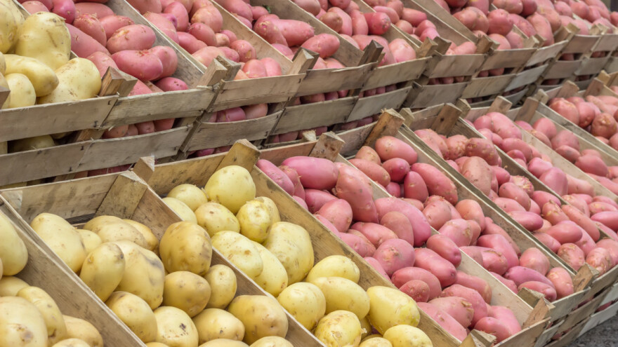 TOP 5 popularnih sorti krompira - koja je za šta?