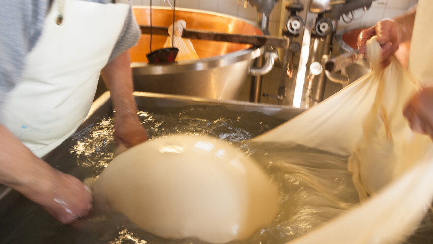 Dobar početak godine za mliječne proizvode?