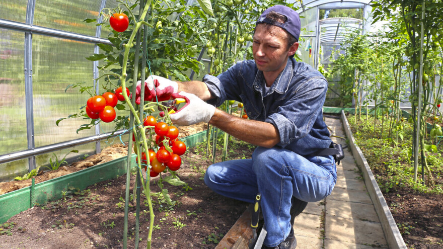 Postani Agrotehničar - novi program koji objedinjuje tri stara, prijave u tijeku!