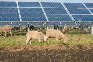 Saradnja Srbije i Nemačke u oblasti klimatskog delovanja