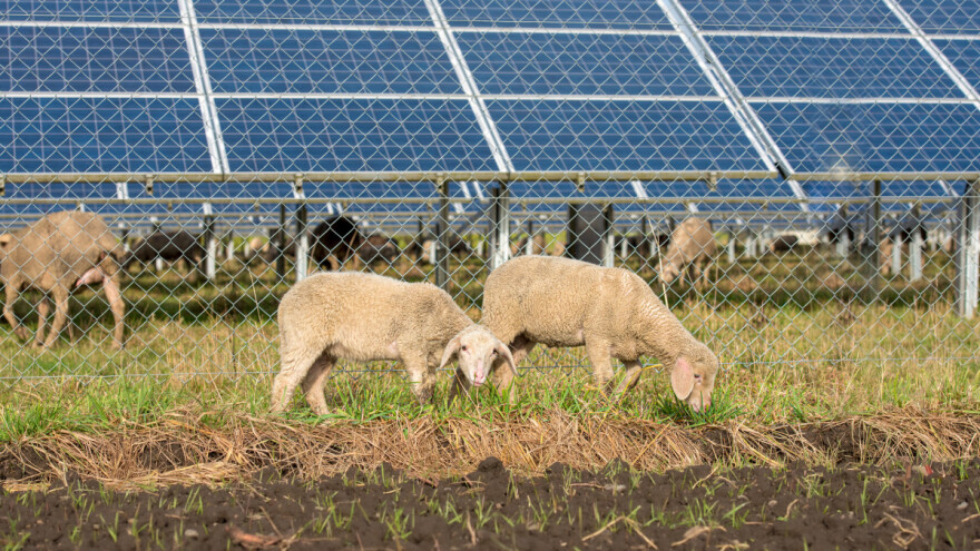 Saradnja Srbije i Nemačke u oblasti klimatskog delovanja