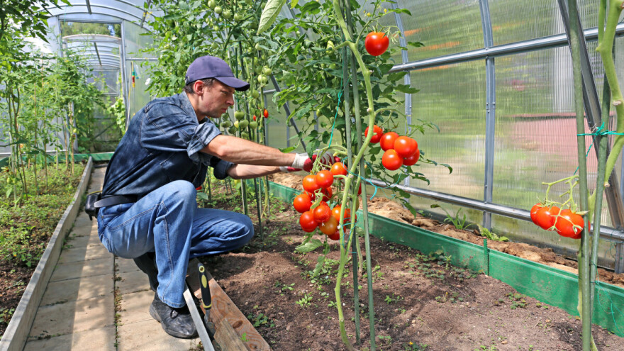 Objavljene rang liste korisnika podsticaja za kapitalne investicije