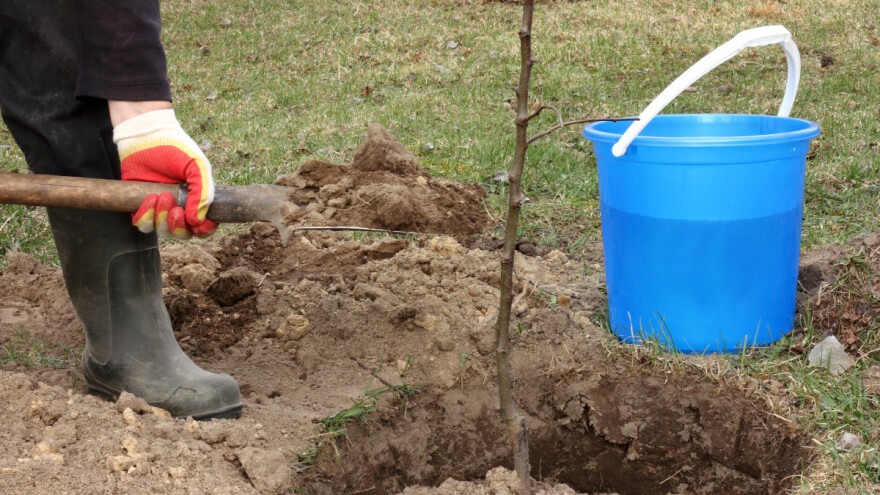 Vrijeme je da pripremite zemljište za nove zasade voća