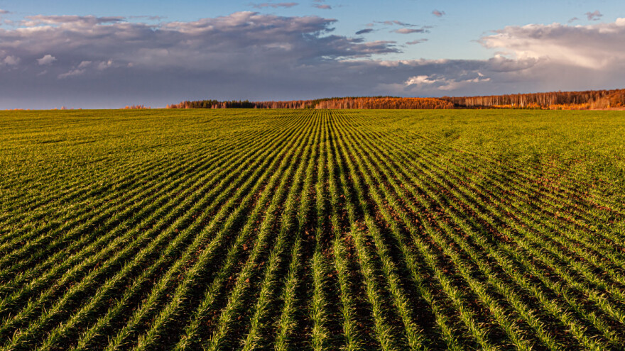 Biostimulatori su odgovor na visoke cijene đubriva?
