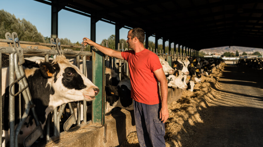 Nadzor životinja: Smanjuje upotrebu lijekova i nepoželjne gubitke u proizvodnji