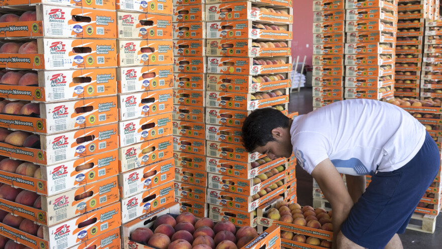 Šta stoji iza skandala o prisustvu i sadržaju hlorpirifosa u srpskom voću?