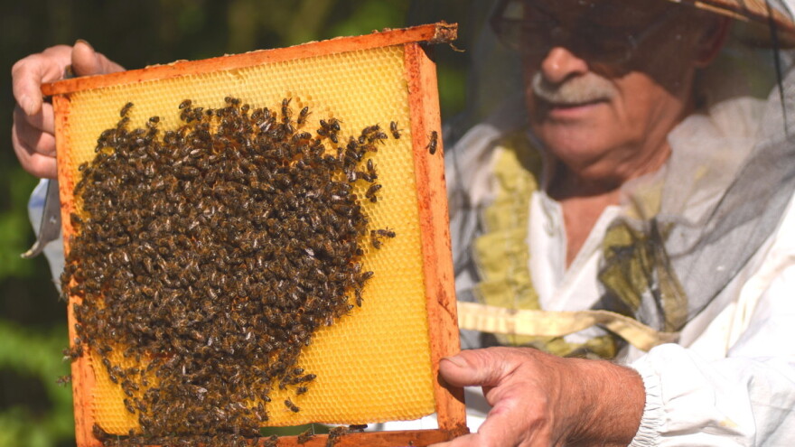 Koje obaveze pčelar mora ispuniti prilikom selidbe pčelinjaka?