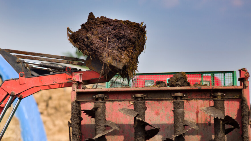 Unošenje stajnjaka pod osnovnu obradu - šta je ključno?