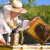 Uređaj mjeri količinu meda u košnici, a pčelaru stiže sms poruka: Moguće je?