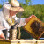 Uređaj meri količinu meda u košnici, a pčelaru stiže sms poruka? Moguće je, a osmislio ga je Prijepoljac