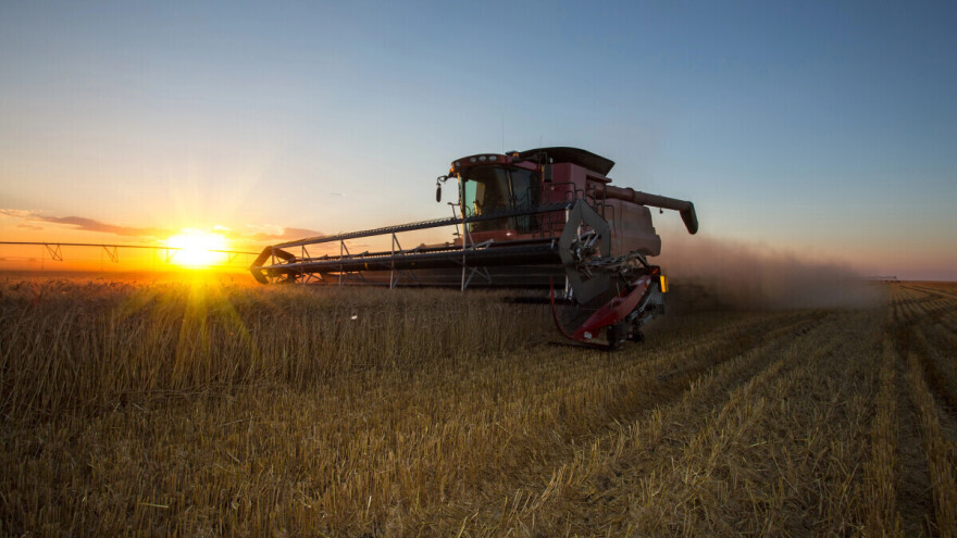 U tijeku je žetva ječma, kako čuvati zrno?