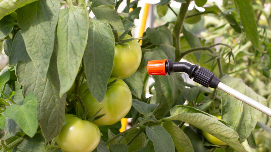 Sintetičke pesticide mogu zameniti bakterije i nematode