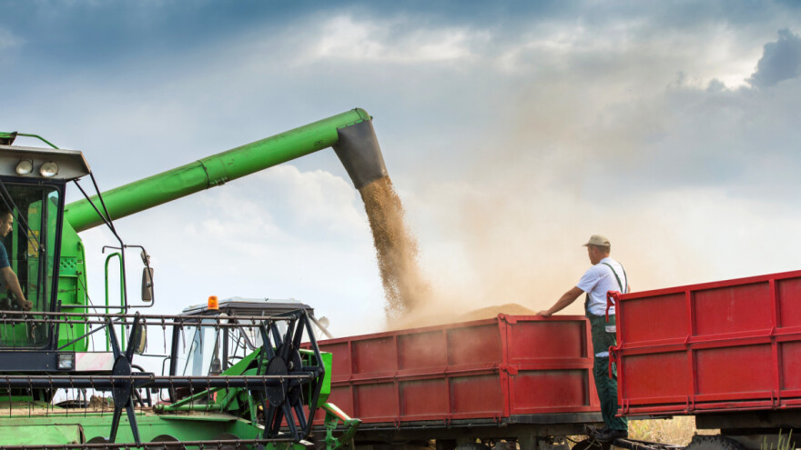 Europska komisija odobrila uvoz GMO soje za hranu ljudi i životinja