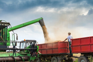Europska komisija odobrila uvoz GMO soje za hranu ljudi i životinja