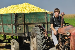 Registar: Novih 18 šifara za sezonske poslove