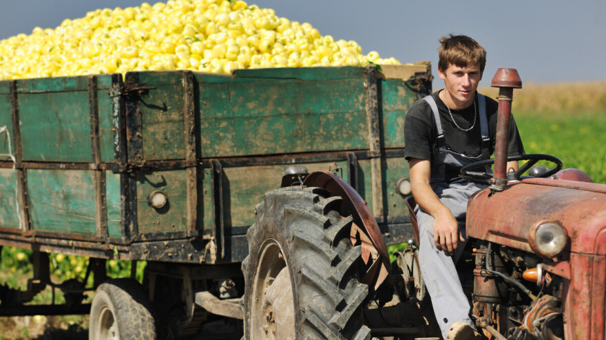 Registar: Novih 18 šifara za sezonske poslove