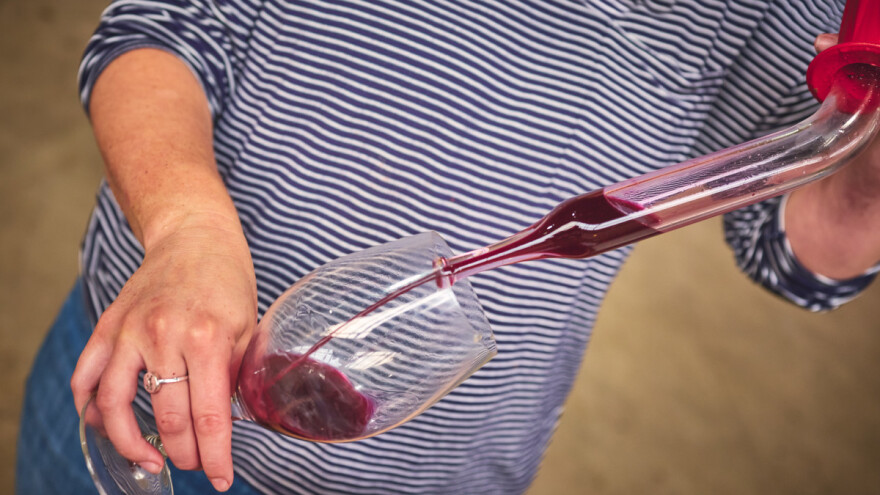 Kako izabrati odgovarajuće bistrilo za vino?