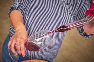 Kako izabrati odgovarajuće bistrilo za vino?