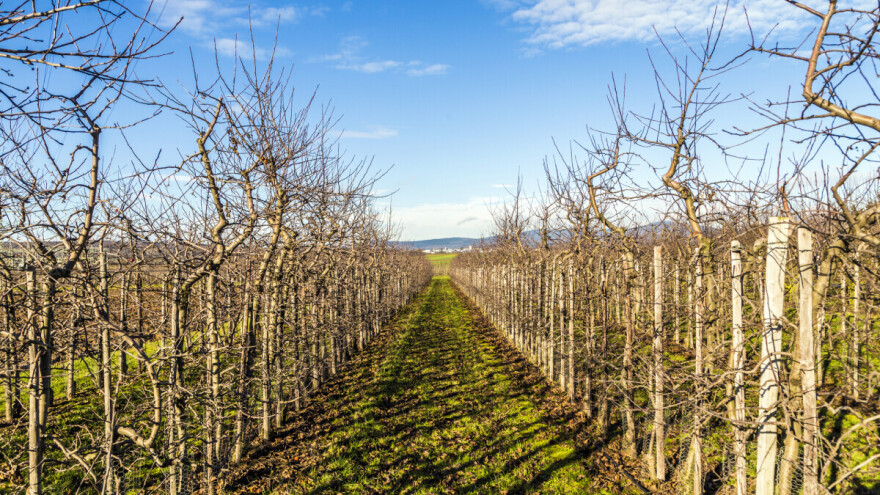 Za proljetnu prihranu u eko proizvodnji važna su đubriva sa sporim otpuštanjem