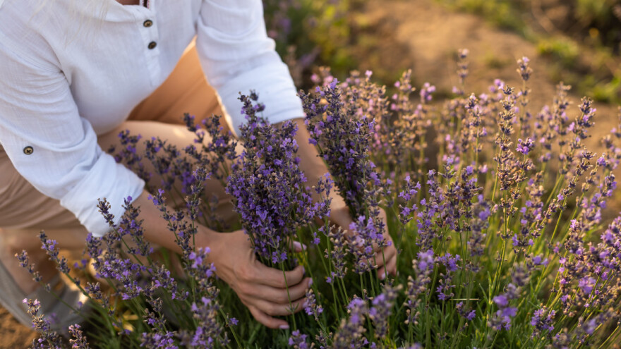 Za zelene ideje dm daje ukupnu podršku od najmanje pola milijuna kuna