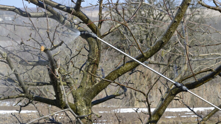 Pristupite preventivnom tretiranju voćnjaka, evo kojim pripravcima