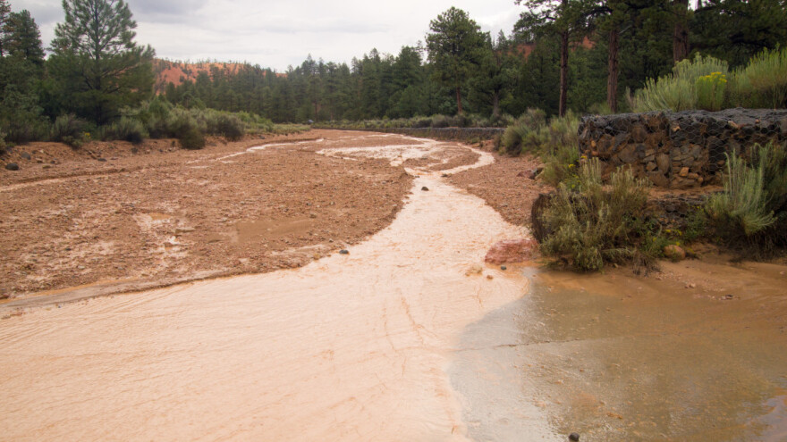 Padavine donijele probleme: "Jezero od kiše" prijeti da blokira selo Lukovice