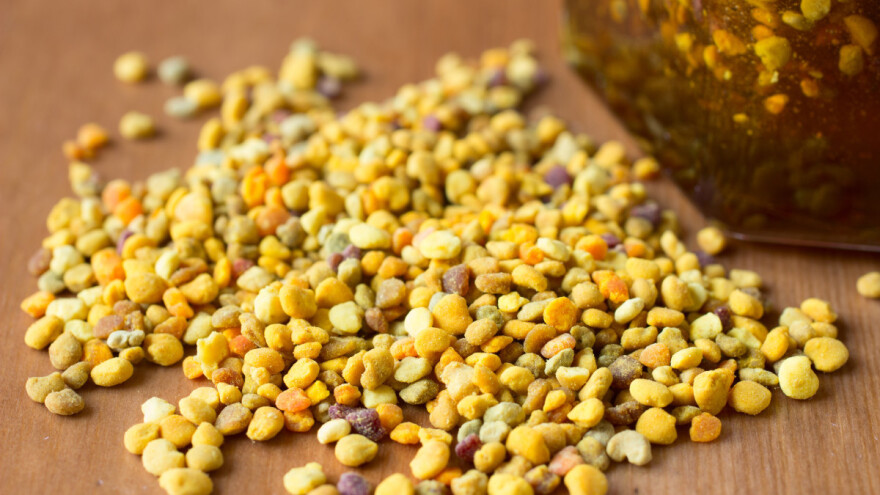 Pčelinja pelud: Dar prirode koji intrigira i oduševljava brojnim prednostima