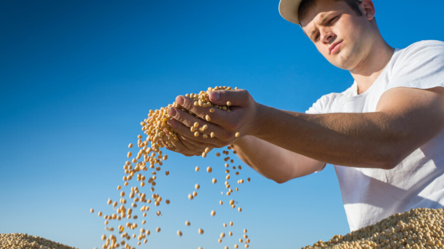 Rast cene soje na domaćem tržištu, dok korona virus utiče na inostrane berze