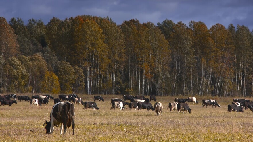 Iz dana u dan sve toplije: Planirajte proljetne radove