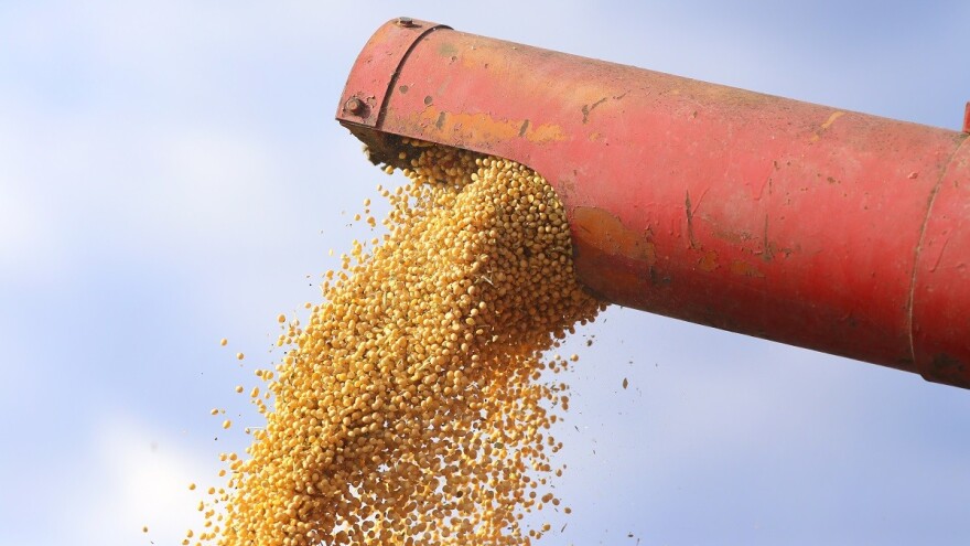 Rusija povećala izvoz soje u Kinu i Belorusiju