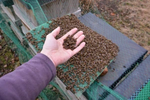 Imali ste pomor pčela? Predajte zahtjev za potporu za saniranje štete