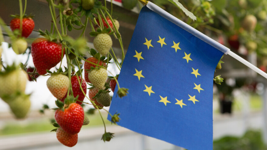 Što znate o prehrambenom lancu Europske unije - riješite kviz i provjerite!