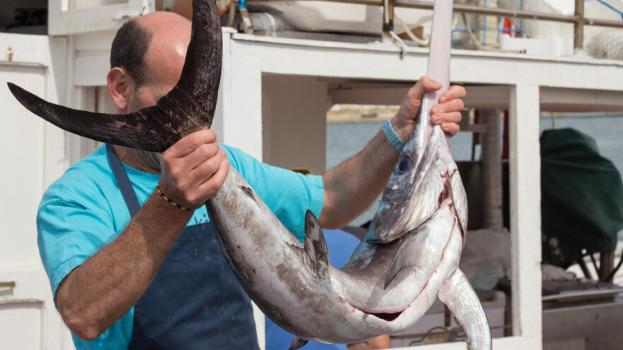 Državne kvote bez plaćanja naknade za ribolov igluna i u 2021.?