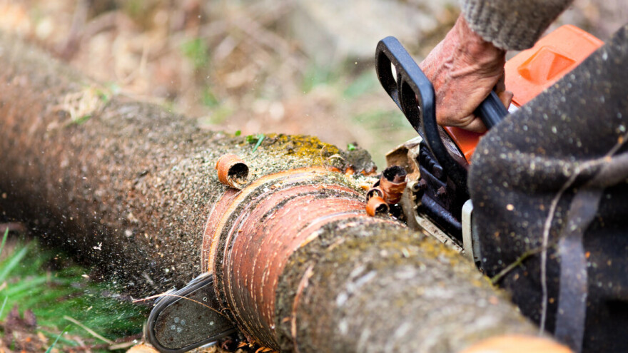 Pilila se i krala drva od Varaždina do Pašmana