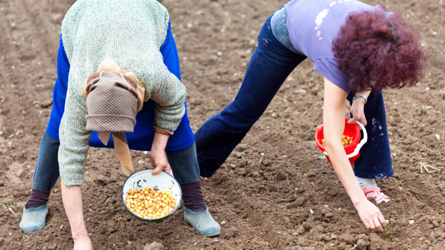 Šta se sadi, a šta radi u aprilu?!