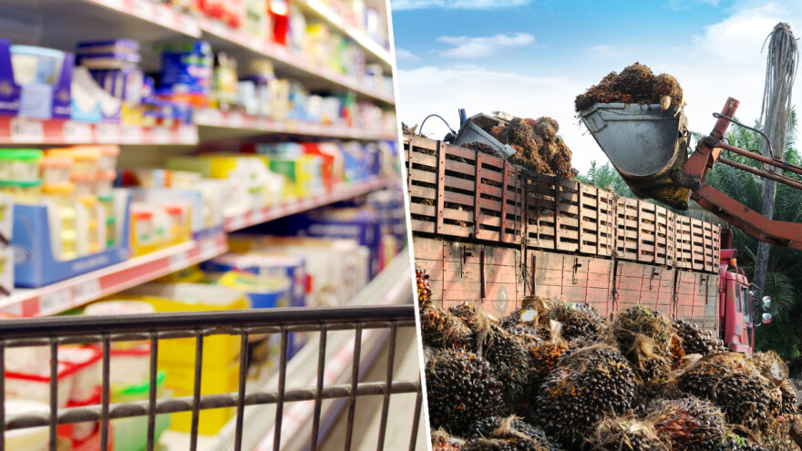 Zašto treba da nas bude briga što Indonezija zabranjuje izvoz palminog ulja?