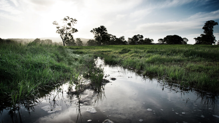 Gdje nestaju BiH močvare?