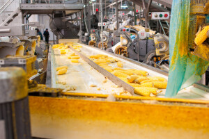 Hrvatska prehrambena industrija na 51 posto prosječne produktivnosti zemalja EU