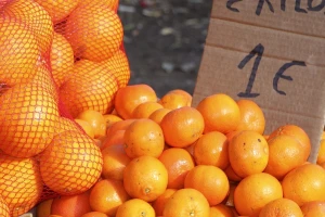 Potražnja za mandarinama manja nego prošle godine