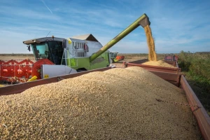 Soja zabeležila najvišu cenu ikada postignutu na Produktnoj berzi
