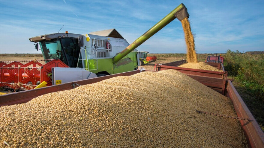 Argentina stopirala izdavanje dozvola za izvoz sojinog ulja i sačme