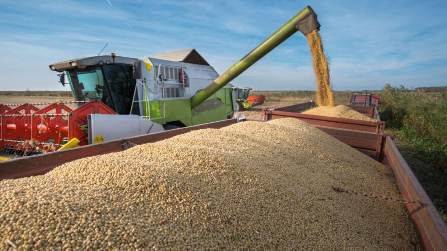 Soja dobro rodila, poljoprivrednici nisu zadovoljni cenom