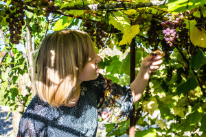 Okrugli stol "Žene u vinogradarsko-vinarskoj struci" povodom njihovog dana, 8. ožujka