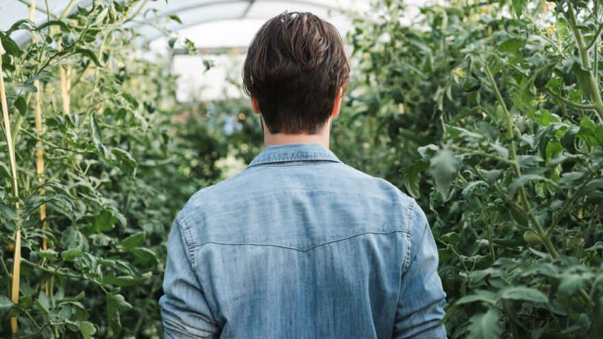 Bilježimo napuštanje, kako zadržati hrvatske poljoprivrednike u eko proizvodnji?