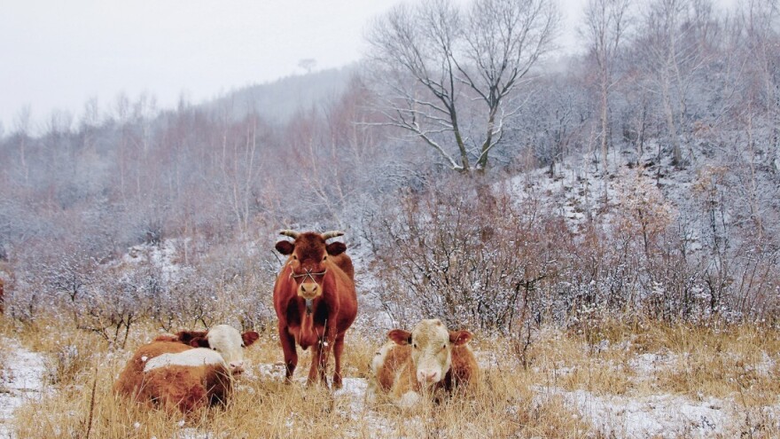 Za podsticaje u poljoprivredi 180 miliona KM i niz novosti
