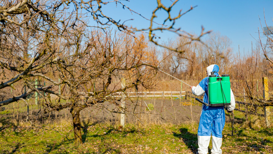 Kako, kada obaviti i koje preparate koristiti za "plavo" prskanje?