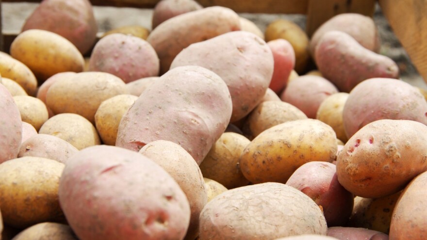 Stare i nove sorte krumpira - koje prve prispijevaju, a koje su ukusnije?