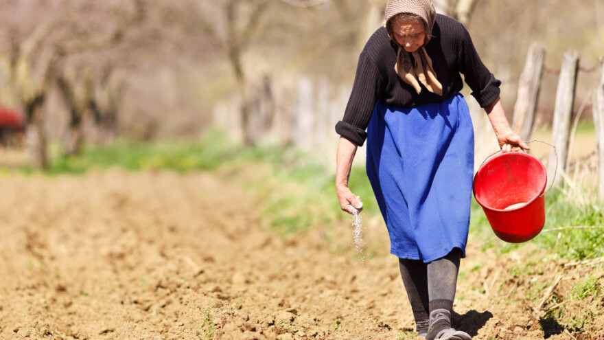 Sve manje stanovnika u ruralnim područjima - susjedi prednjače s čak dvije regije
